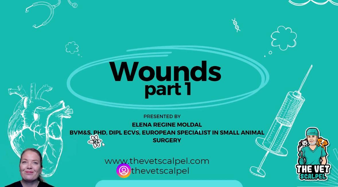 Wounds – basic principles and classification